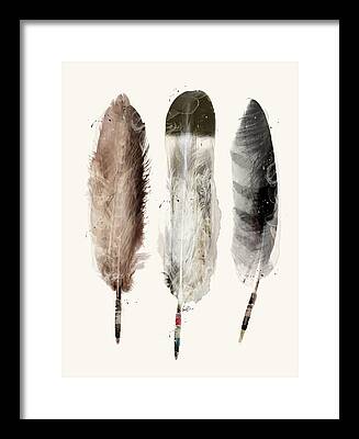 Bird Feather Framed Prints
