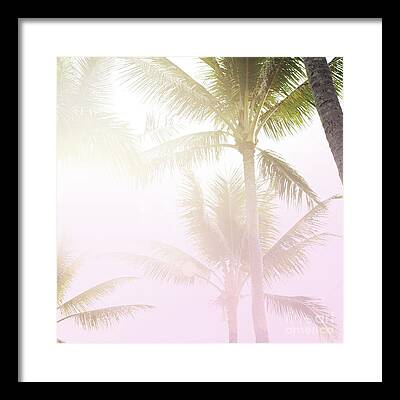 Dreamy Pink Beach Framed Prints