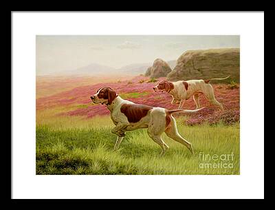 Trailing Hound Paintings Framed Prints