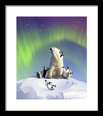 Polar Aurora Framed Prints