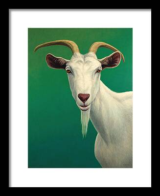 Goat Framed Prints