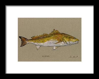 Fly Fishing Art Prints for Sale - Fine Art America