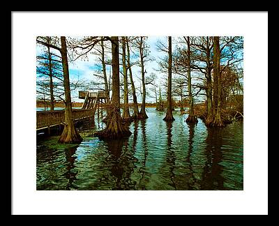 Julie Dant Artography Photos Framed Prints