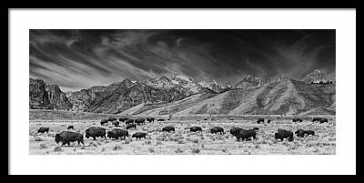 National Bison Range Framed Prints