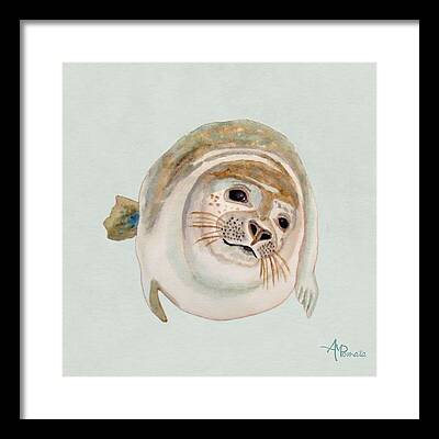 Australian Sea Lion Paintings Framed Prints