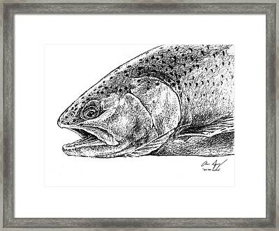 Sketch - Rainbow Trout Drawing by Aaron Spong