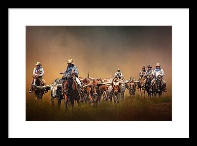 Texas Longhorn Cattle Framed Prints
