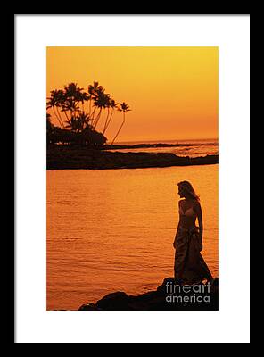 The Fairmont Orchid Framed Prints