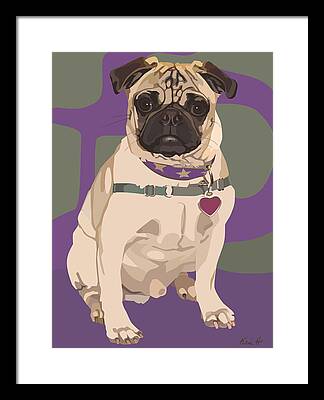 Pug In Purple Collar Framed Prints