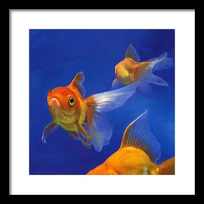 Goldfish Framed Prints
