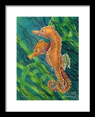 Two Seahorses Framed Prints