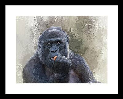 Lowland Gorilla Framed Prints