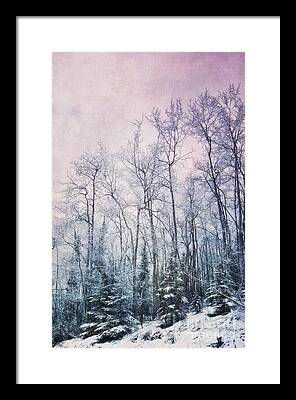 Snowcovered Framed Prints