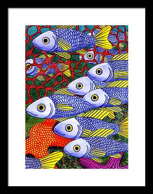 School Of Fish Framed Prints