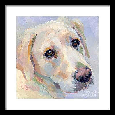 Yellow Labs Framed Prints