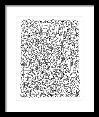 Lilacs Drawings Framed Prints