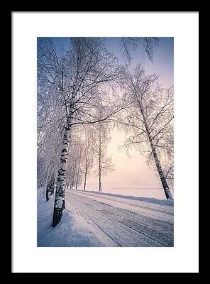 Road Covered With Snow Framed Prints