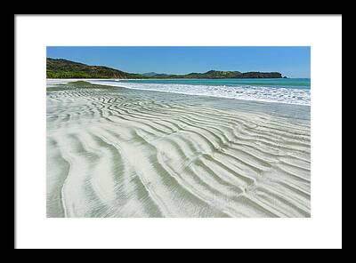 Intertidal Framed Prints