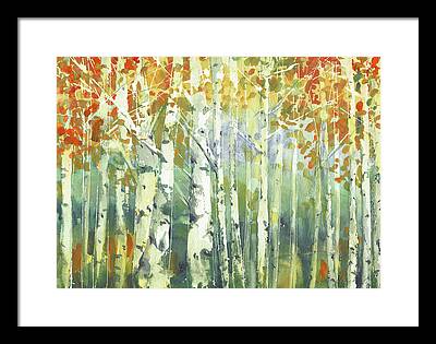 Birch Forest Framed Prints