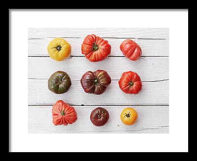 Heirloom Tomato Digital Art Framed Prints