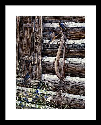 Swallow Paintings Framed Prints