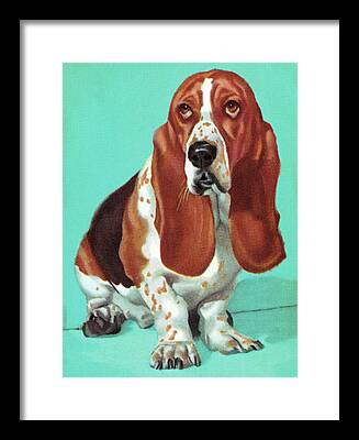 Hound Drawings Framed Prints