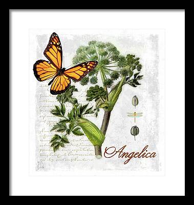 Angelica Framed Prints