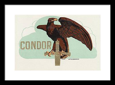 Condor Paintings Framed Prints