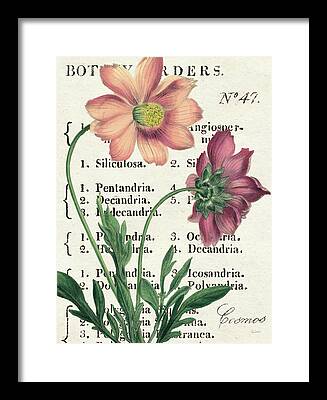 Botany Mixed Media Framed Prints