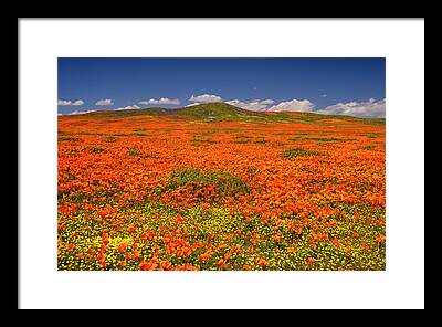 Antelope Valley Framed Prints