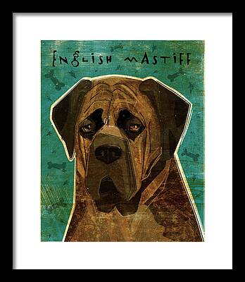 Brindle English Mastiff Framed Prints