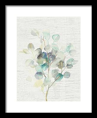 Eucalyptus Tree Framed Prints