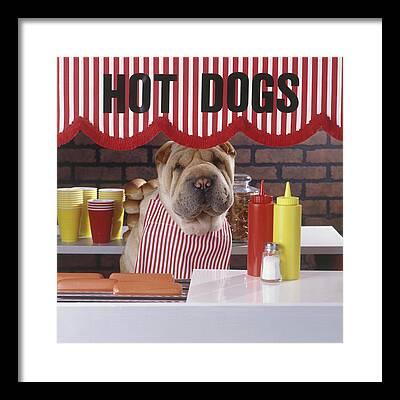Hot Dog Stands Framed Prints