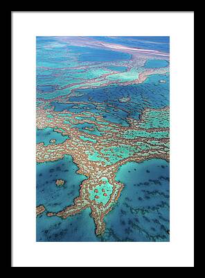Great Barrier Reef Marine National Park Framed Prints