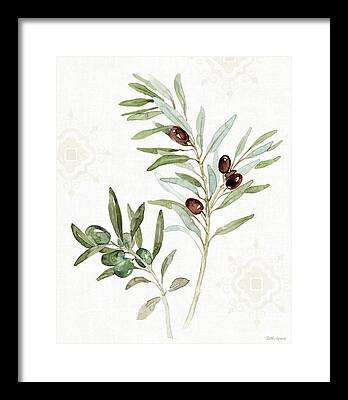 Olive Grove Framed Prints