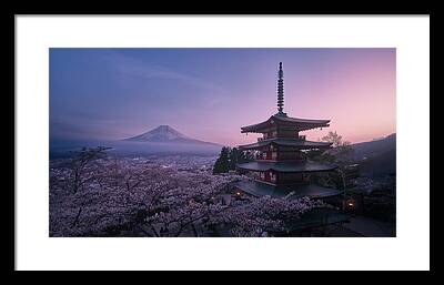 Sakura Tree Framed Prints