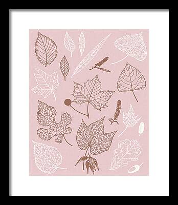 Colors Of Autumn Drawings Framed Prints