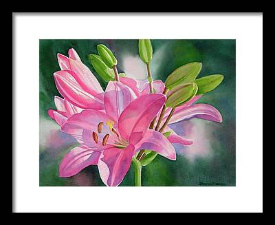 Asiatic Lily Framed Prints