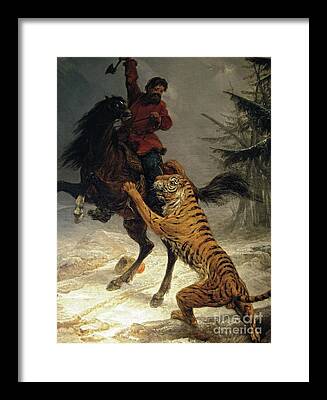 Tiger Attacks A Horse Framed Prints