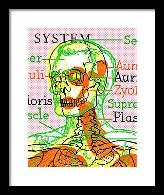 Skeletal System Framed Prints