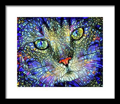 Tabby Cat Digital Art Framed Prints