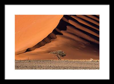 Namib Desert Framed Prints
