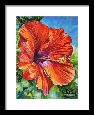 Red Hibiscus Framed Prints