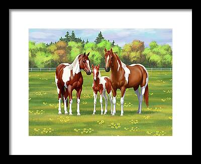 Paint Mare In Field Framed Prints
