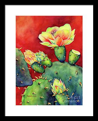 Texas Cactus Flower Framed Prints