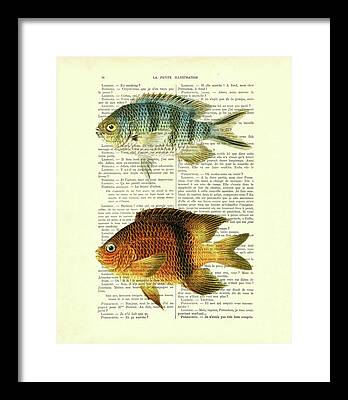 Fish In Ocean Digital Art Framed Prints