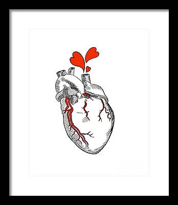 Bleeding Heart Framed Prints