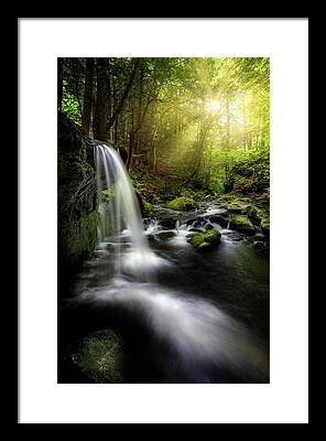 Waterfall In The Forest Framed Prints