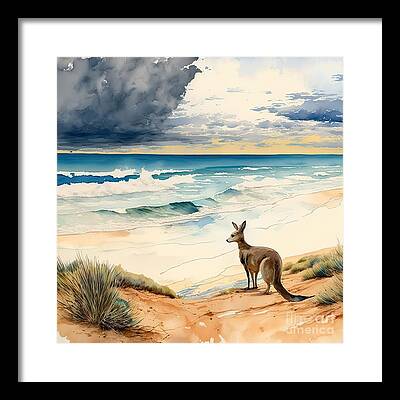 Eastern Grey Kangaroo Framed Prints