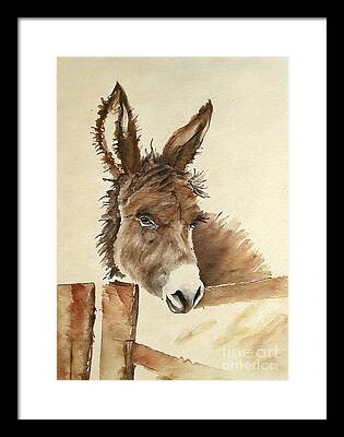 Donkey Lovers Framed Prints